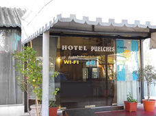 Puelches Hotel San Rafael  Esterno foto